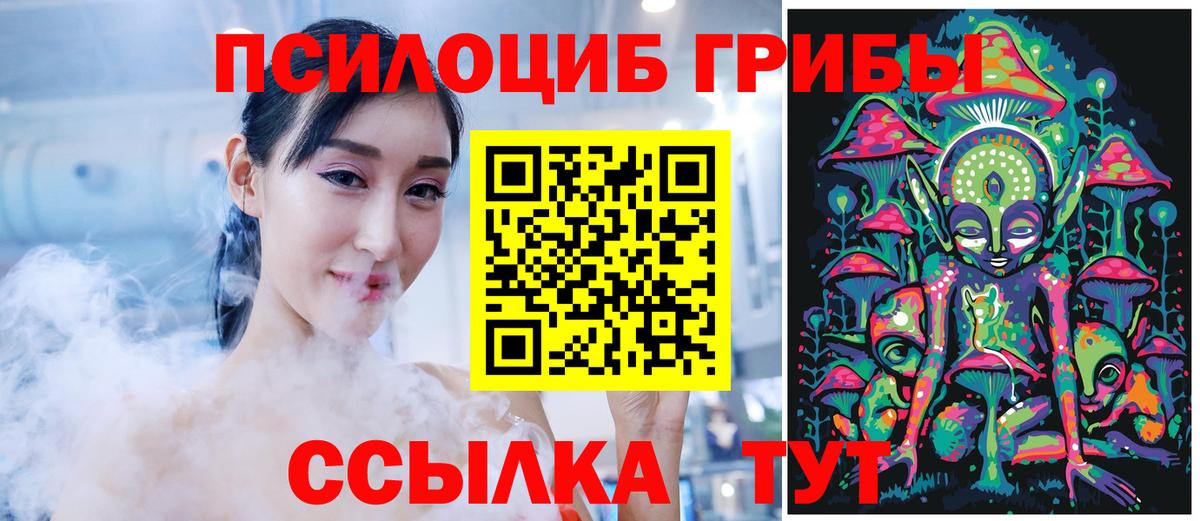 Псилоцибиновые грибы Cubensis Нижний Тагил